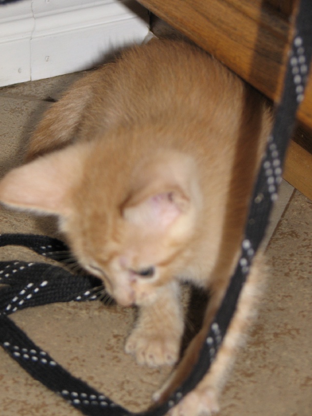 20100206 441.JPG